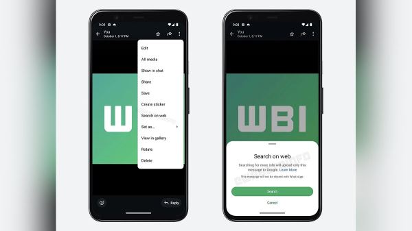 В WhatsApp добавят поиск похожих изображений в интернете